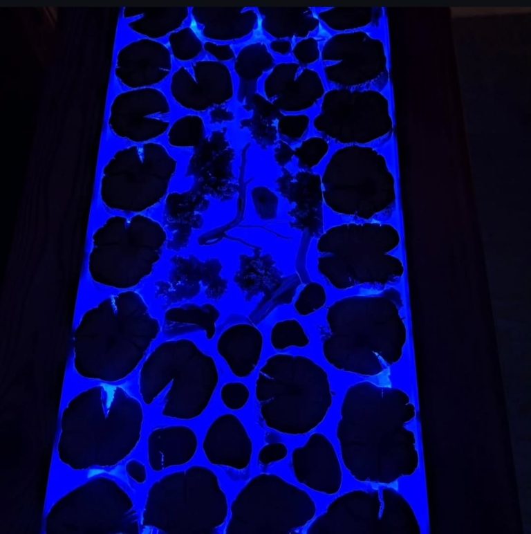 WhatsApp Image 2026-01-11 at 11.14.16 (5)