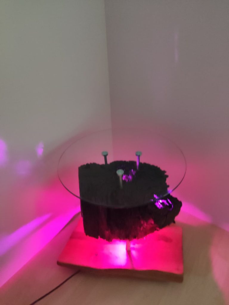 WhatsApp Image 2026-01-11 at 12.02.37 (3)