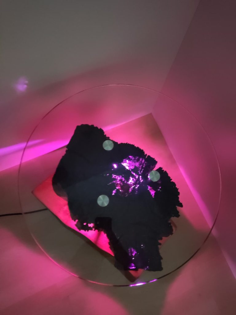 WhatsApp Image 2026-01-11 at 12.02.39