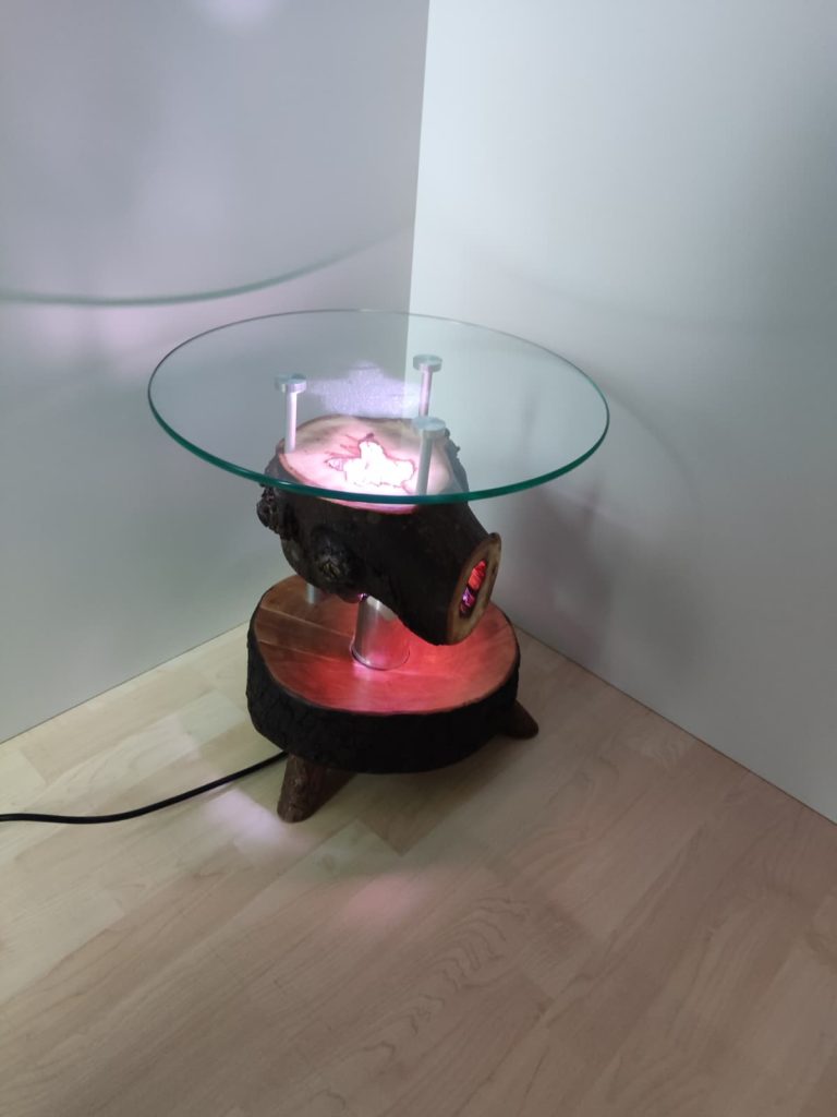 WhatsApp Image 2026-01-11 at 12.03.40 (3)