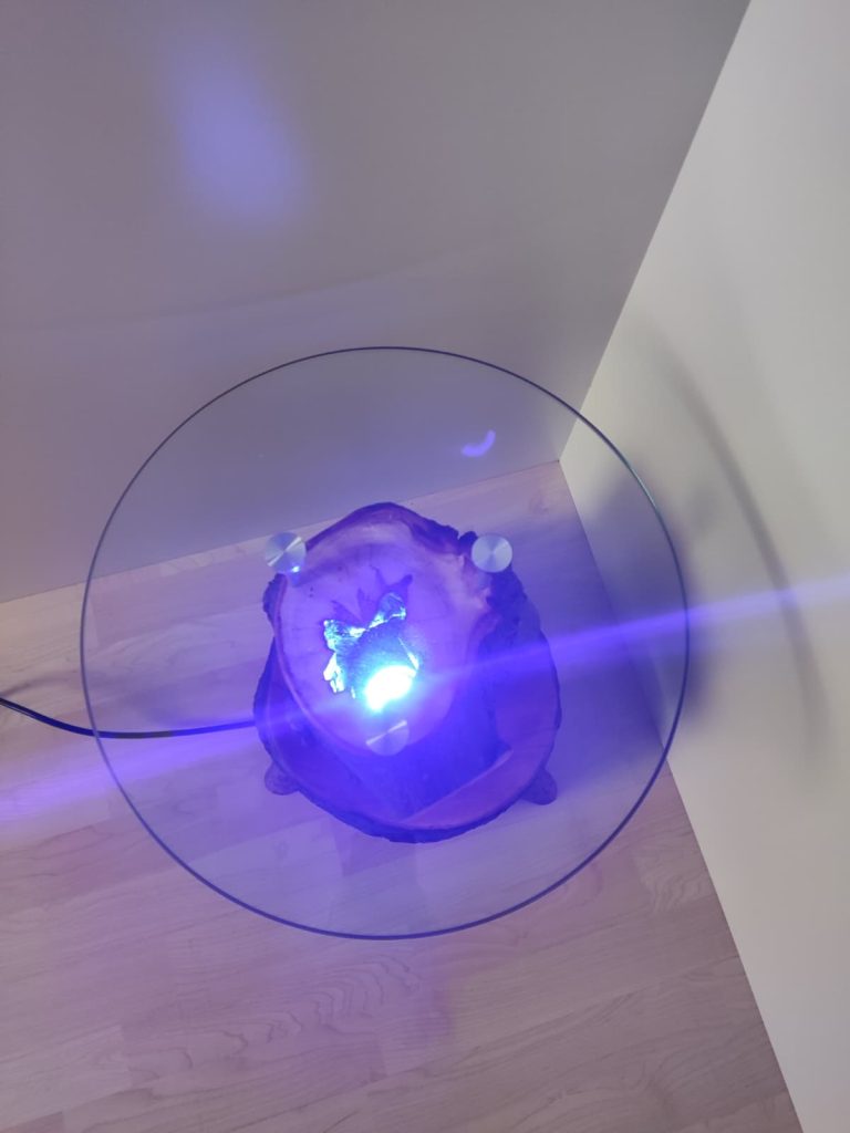 WhatsApp Image 2026-01-11 at 12.03.40 (4)