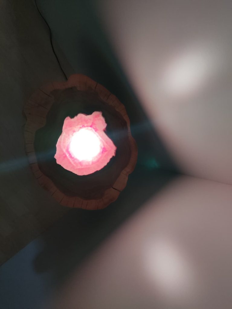 WhatsApp Image 2026-01-11 at 12.05.33 (2)